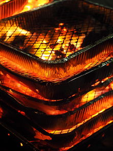 JIUYOU GAMING-森林狼主场布景焕然一新增强品牌识别度，森林狼logo