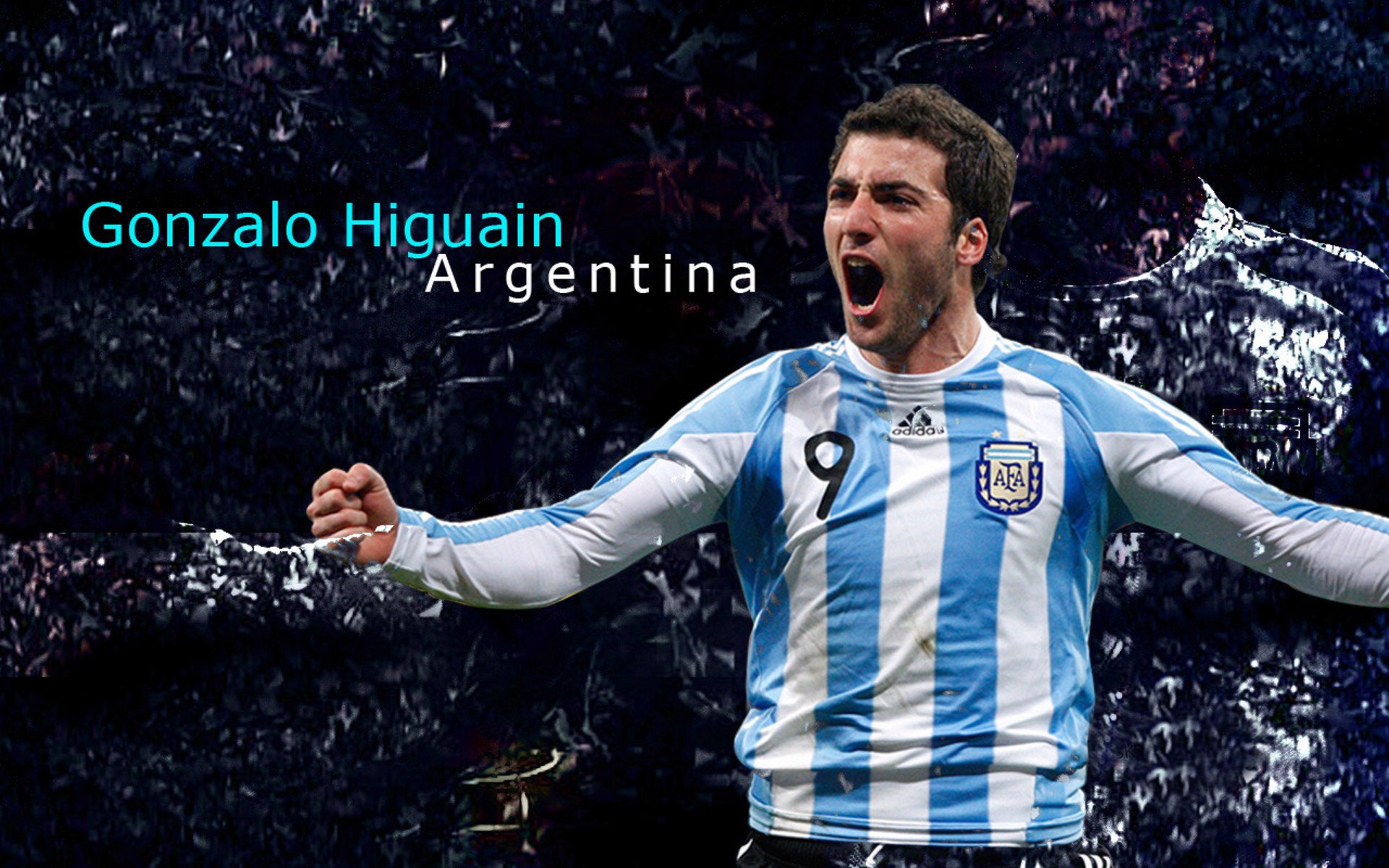 森林狼主场布景焕然一新增强品牌识别度，森林狼logo